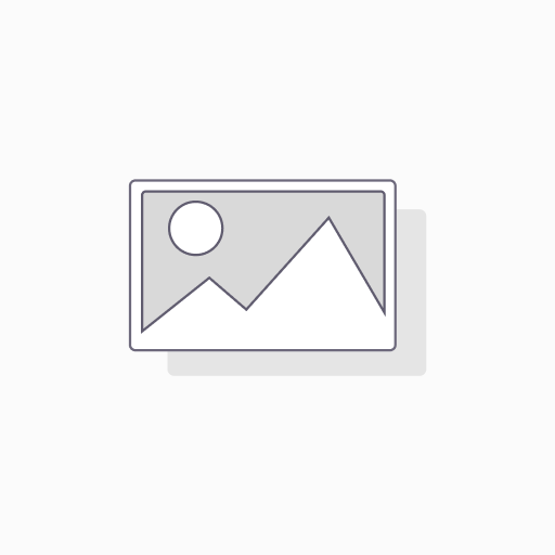 2 hydroxyisobutyryl HIST1H1C (K63) Antibody   
