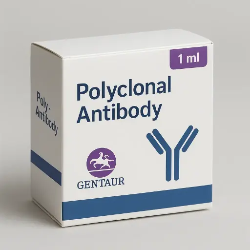 (KO Validated) PDCD4 Polyclonal Antibody