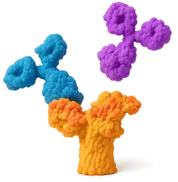  594 Rabbit anti-Human CD305/LAIR1 mAb (100 T)