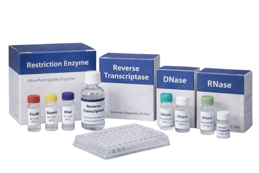 [HBP005001] mRNA Capping Rate Pretreatment Assay Kit