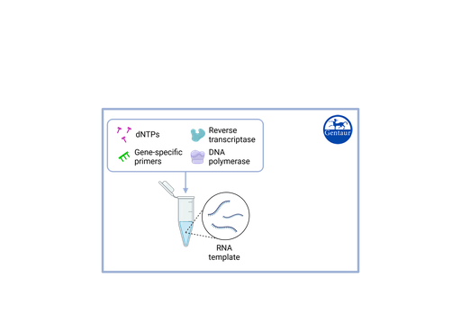 [VS-​NCO2] RT PCR Test Kits