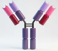 [BOC-1950-04] Rat IgG H&L) Antibody - FITC Conjugated 