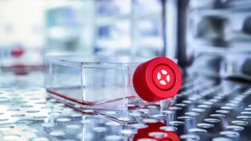 [BOC-0744-12] Mouse Bone Marrow Stromal Cell Culture Serum Free Media